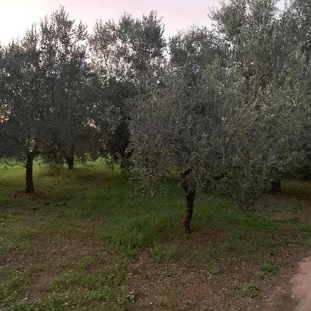 Piccola Dimora Albinia