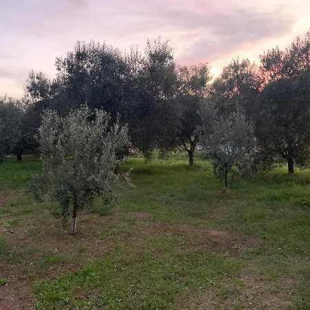 Piccola Dimora Albinia